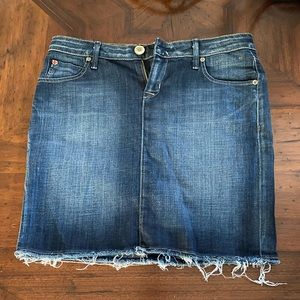 Hudson denim skirt